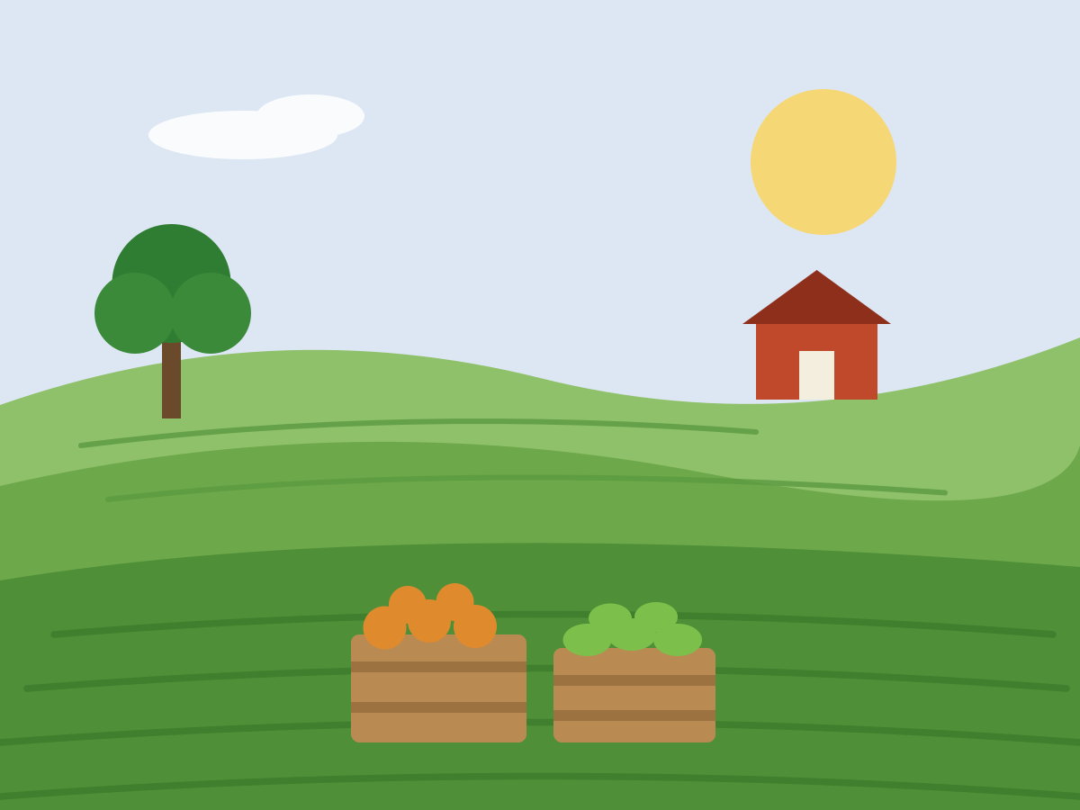 Farmland with crates of fresh produce